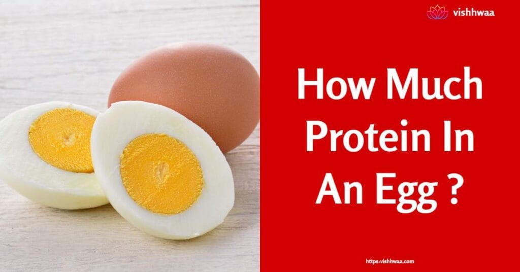 how-much-protein-in-an-egg-discover-the-protein-punch